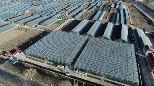 岱硕商贸 绿色农产品的守护者，健康生活的供应者