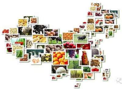 智观天下 | 农产品品牌建设日记——同质化之困与破局之路