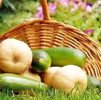 农产品 连接土地与餐桌的桥梁