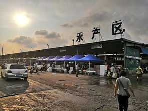 冰封的利润 批发市场冰厂垄断与中小商户的生存困境